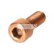 CYLINDER SCREW